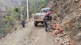 森林里的“一张票”——湖南“湘林碳票”探索见闻