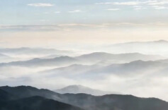 视频丨雾漫汝城 如梦如幻