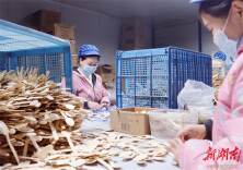 Bamboo Processing Industry Helps Increase Local Farmers' Income