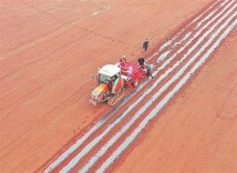 视觉丨嘉禾：订单农业