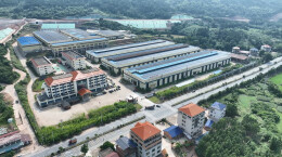 双牌竹木产业“开门红” 龙头企业订单排至6月