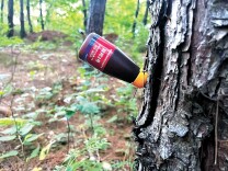 我国松材线虫病实现可防可控