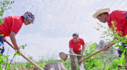 “湖南靖州茯苓栽培系统”入选第八批中国重要农业文化遗产候选项目名单