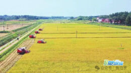 全国示范！汨罗“全域整治+整村流转+田长制”机制创新经验入选