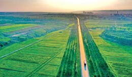 “十四五”林草回眸 | 系统治理之举筑牢国土绿色生态屏障