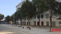 家园展新貌，居民漾笑颜——君山老旧小区“改”出幸福感