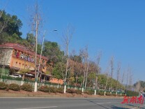 人大建议高效办 新区城管获点赞