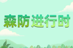森防科技+｜当仙境遇上科技！“智慧森防”给武陵源穿上“防火铠甲”