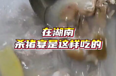 视频｜听说全国都在吃杀猪菜？一起来看看湖南杀猪宴