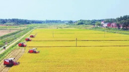 汨罗入选！全国首届自然资源节约集约示范县（市）创建成果发布