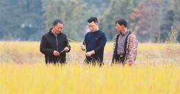 “兵支书”的田野答卷——记退役军人谭鹏辉