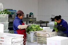 税务合规酿造冬日好滋味