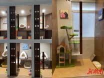 “宠”经济持续升温，宠物高端寄养酒店需求增长