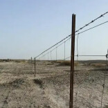 大地为身的《汉武雄风》，为啥没戳中公众的 “文化共鸣”？丨湘江副刊·艺风