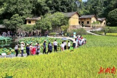 清波映红土 新篇起韶河