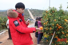 江苏网络主播为新田农产品直播带货