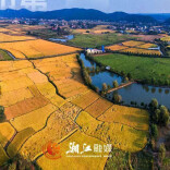 数说2025⑤｜促融合，城乡品质同步提升！