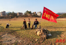 新田金陵中心小学：红领巾映金陵水 少年守护家乡美