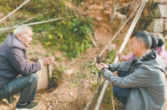 武平有一支杜甫后裔，三百年前复迁平江