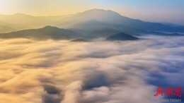 【大美鹤城】 云海漫城 仙境鹤城