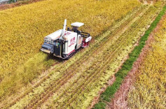 华容“人水和谐共生”探改革新路