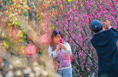 Winter Flowers Draw Crowds to Hunan Botanical Garden