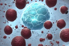 残忍的遗传规律：这4种癌如果父母不幸“中招”，下一代可能会“复制”