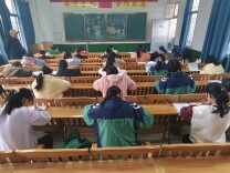 新邵县酿溪镇土桥完全小学：写好中国字 笔锋展风华