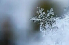 省应急委办公室发布2026年首期雪情提醒