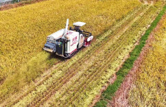 华容“人水和谐共生”探改革新路