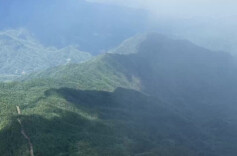 央视网丨三湘四水行：神奇南山