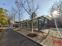 荷塘区完成三处地下通道升级