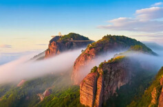 我的2025 | 胡望龙：一种执着 两处风景