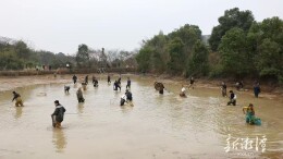 新闻特写丨山塘里的年味