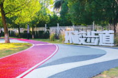 【杏林五载新答卷】建满意校园 暖师生心田