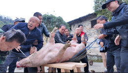 按猪？来北湖“打头脑”