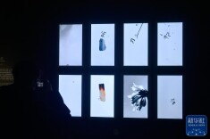 流动”的山水画卷 作画”的机械臂 中国美术馆展出科技艺术新样貌