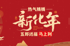 亿元消费券+全域免票！“热气腾腾新化年”活动启幕 