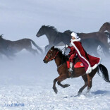 我们的“十八般武艺”为谁而用？贺娇龙生前的这番话令人动容