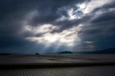 我的2025 | 曾少军：路过