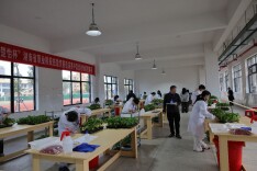 技能赛场展风采 产教融合结硕果——麻阳职中在市级职业技能大赛中斩获佳绩