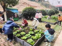 怀化市鹤城区第二幼儿园：精准资助暖童心 诚信感恩润成长