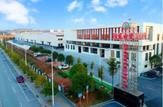 湖南电瓷精英齐聚，共绘“世界电瓷之都”新蓝图