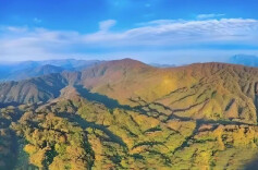 张家界林海成“绿色银行”@湖南日报市州版头条