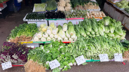 长沙42万亩蔬菜长势正旺，春节“菜篮子”量足价稳