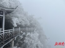 强寒潮过境，张家界天门山一夜 “速冻” 换装！