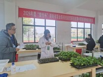 335名选手同台竞技！怀化职业技能竞赛亮点纷呈，刷新纪录