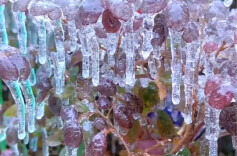 四省四级应急响应！雨雪冰冻防范指南快查收