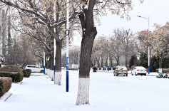 开车、骑车、步行 雨雪天气出行注意这些