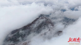 【大美鹤城】凉山：雾凇云海齐亮相 冬日风光入画来